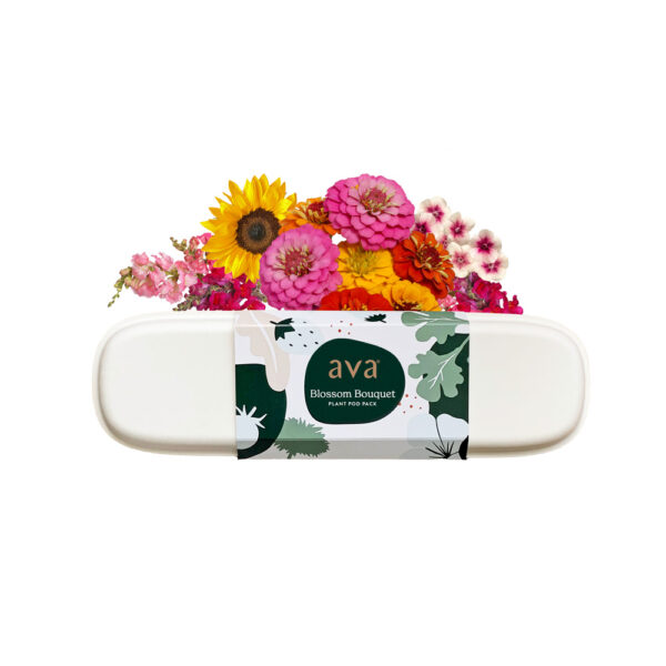 AVA Blossom Bouquet Pod Pack