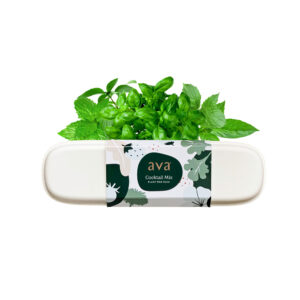 AVA Cocktail Mix Cocktail Herbs Pod Pack for Hydroponic Gardens