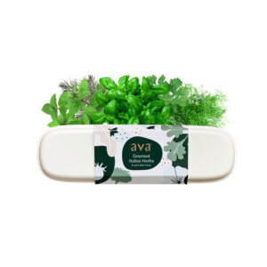 AVA Gourmet Italian Herbs Pod Pack for Hydroponic Gardens