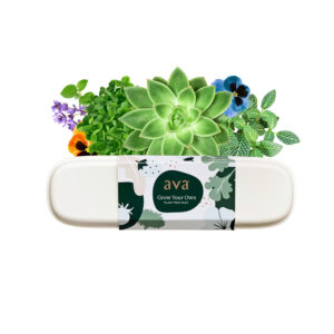 Grow Your Own Plants Pod Pack for Hydroponic Gardens