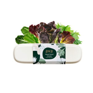 AVA Mixed Salad Greens Pod Pack