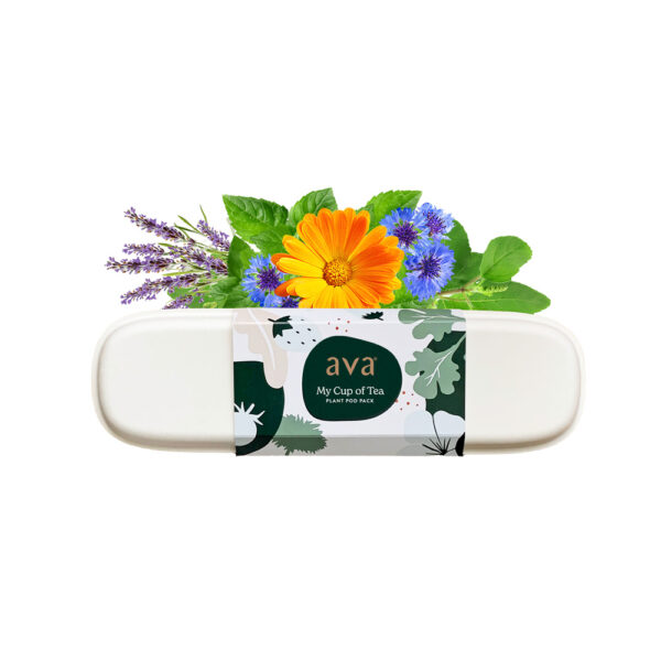 AVA My Cup of Tea Pod Pack for hydroponic gardens