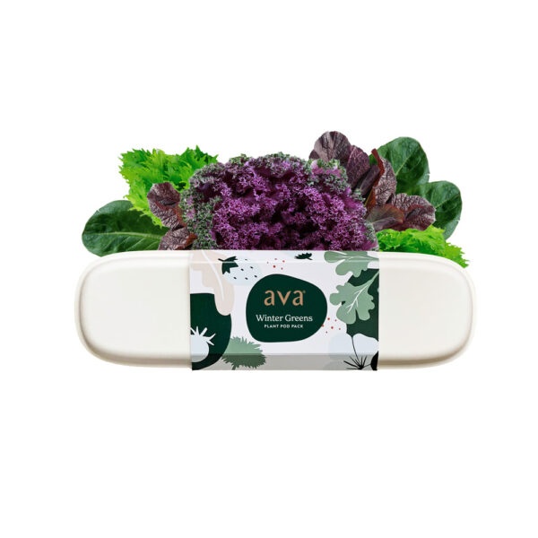 AVA Winter Greens Leafy GreensPod Pack for Hydroponic Gardens