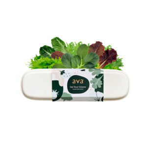 AVA Get Your Greens pod pack for indoor hydroponic gardens