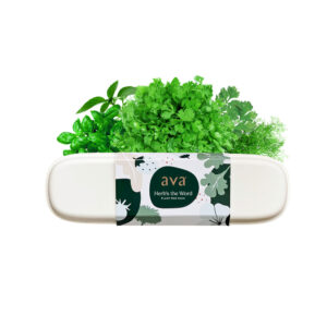 AVA's Herb's the Word pod pack for indoor hydroponic gardens