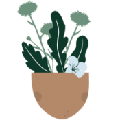 Plant in plant pot icon
